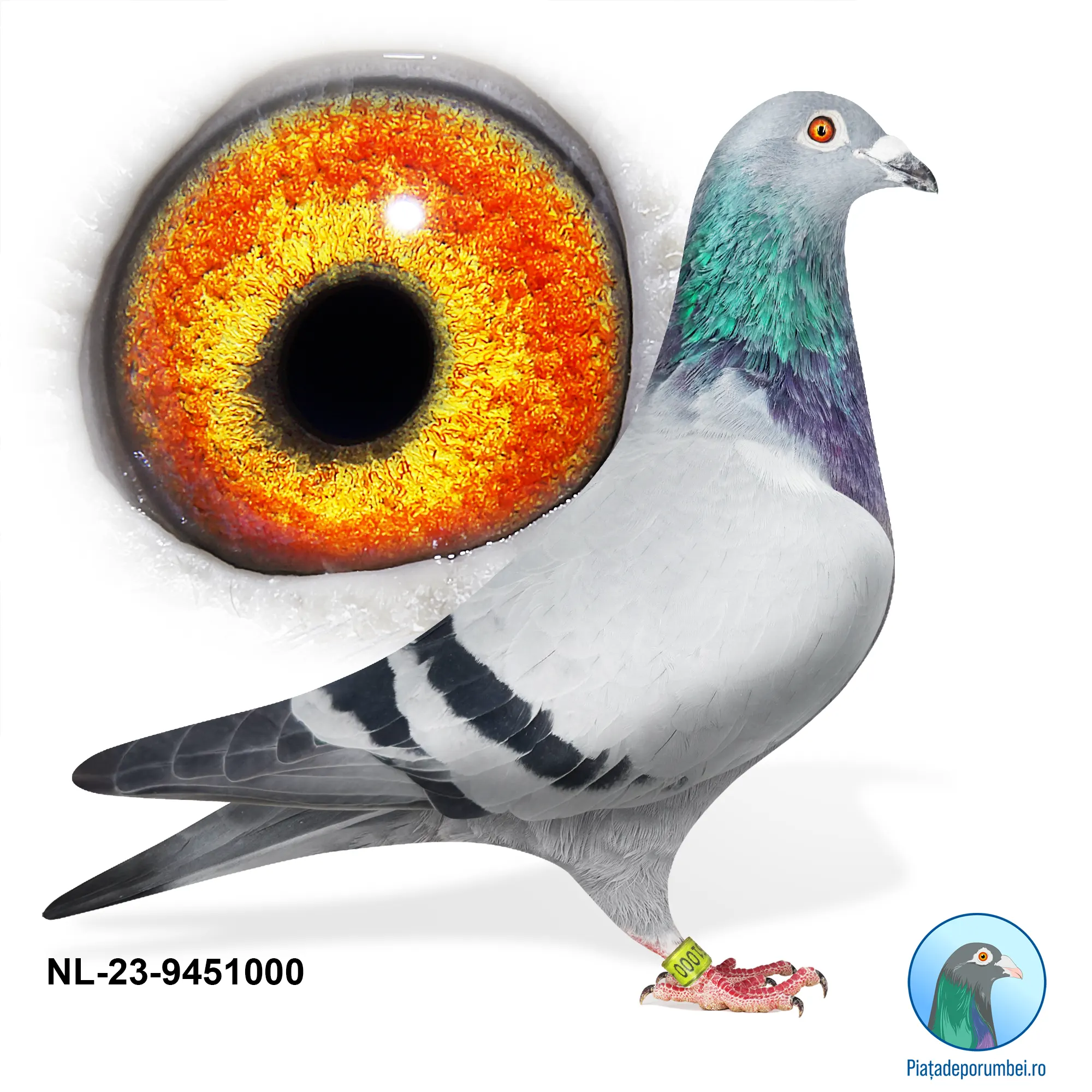 NL-23-9451000 M