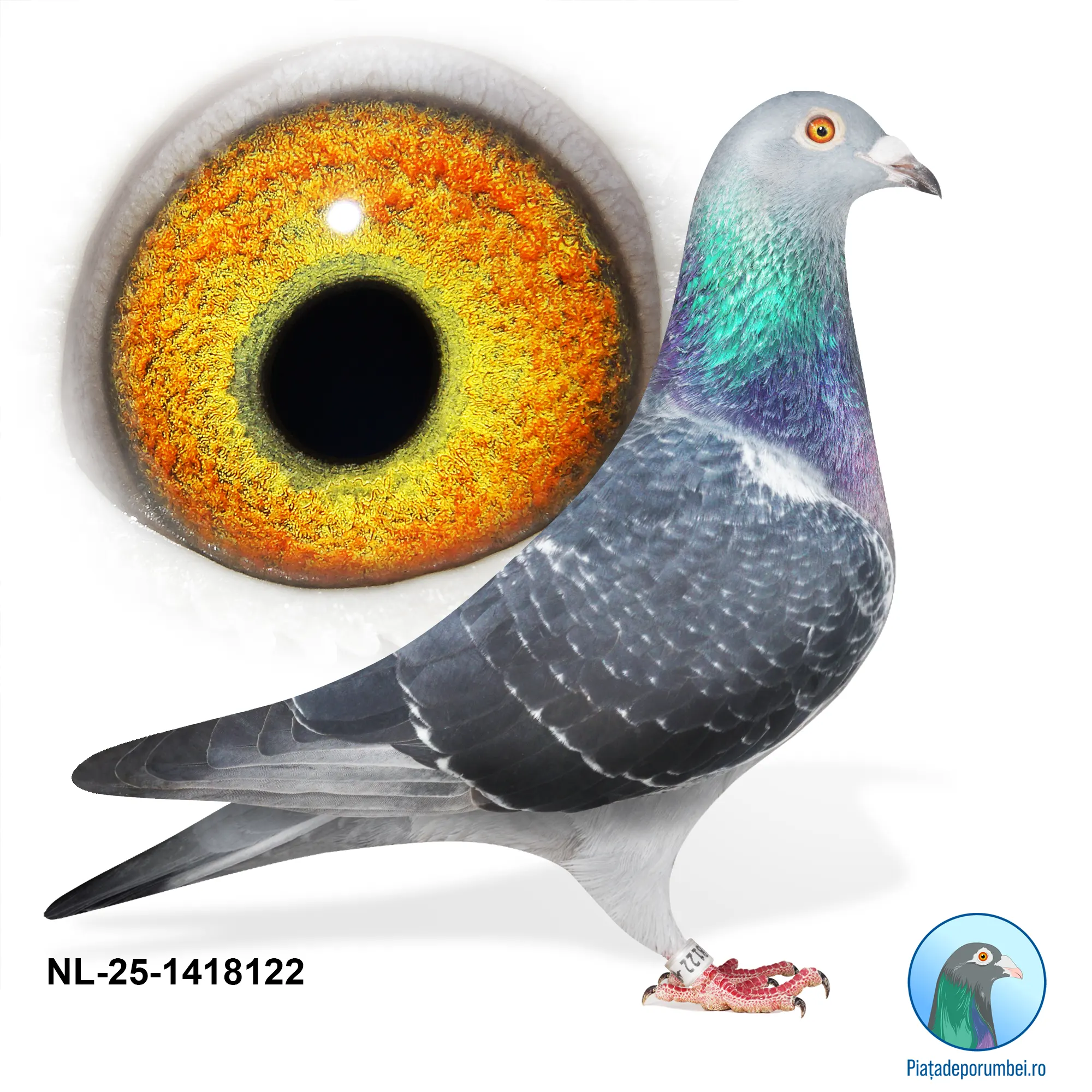 NL-25-1418122 M