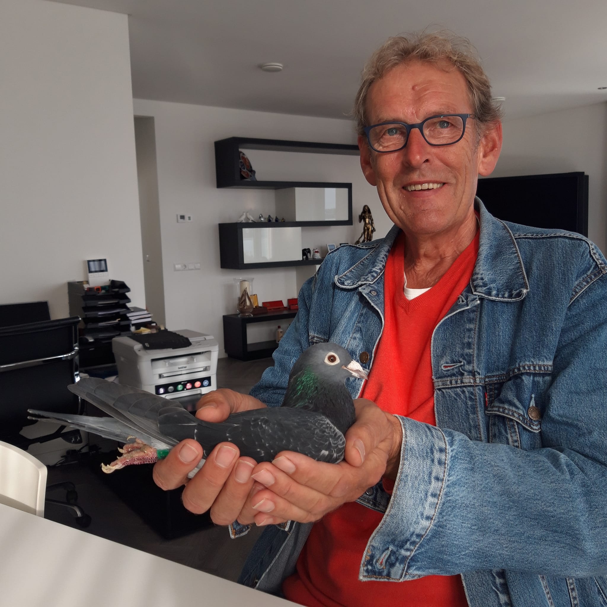 EVENIMENT: Jan Polder-vanzare directa