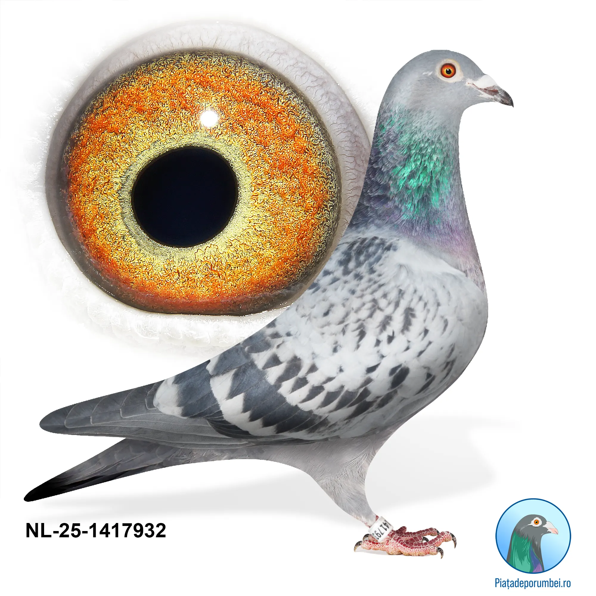 NL-25-1417932 F
