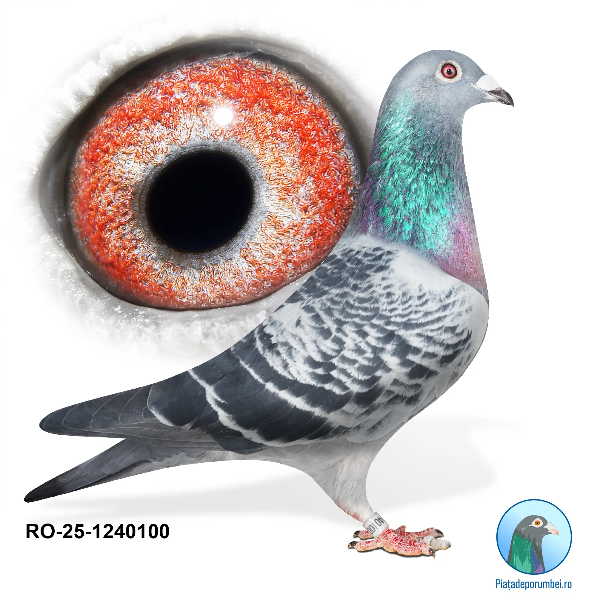 RO-25-1240100 M